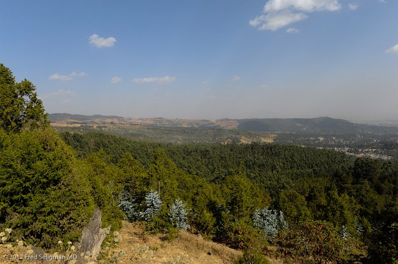 20120328_160942 Nikon D3S (1) 2x3.jpg - View of Addis from Entoto Hills